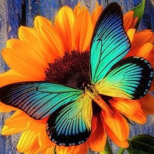 Meet your Posher, Tamara